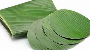 Best quality Banana leaves